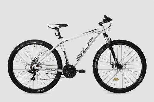 BICICLETA R29 SLP (17222) MTB ALUMINIO 25 PRO T20
